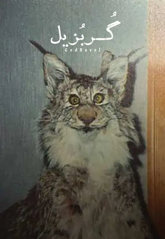 Book Cover — گُربُزیل