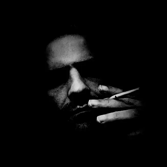 پرتره گادناول، رمان‌نویس و نویسنده